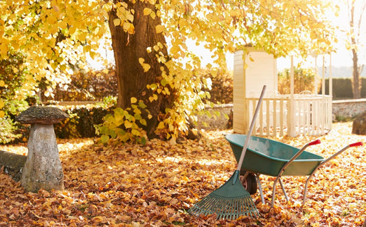 Qué hacer en Octubre en tu jardín