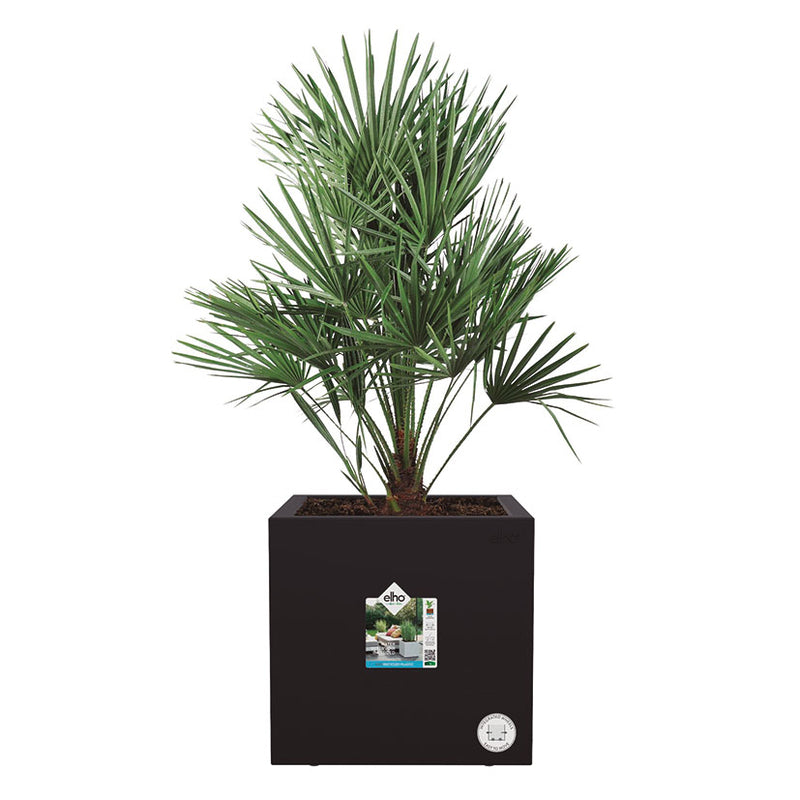 Jardinera decorativa ELHO Cubo 40x39 cm Negro