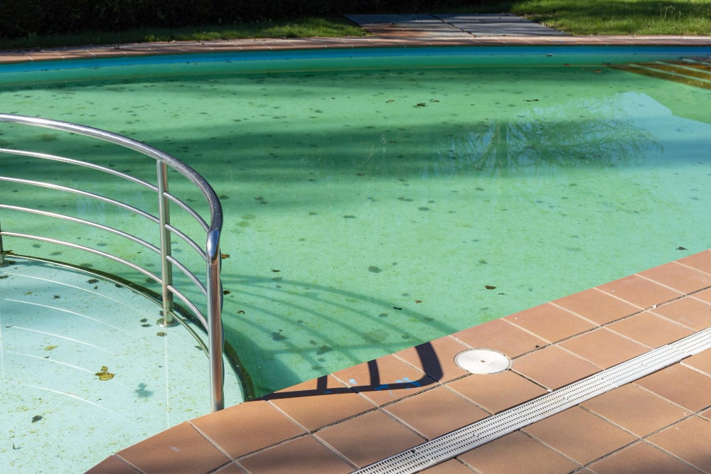 Agua verde de tu piscina en invierno: prevención y choque