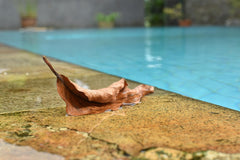 Qué hacer con tu piscina al acabar el verano
