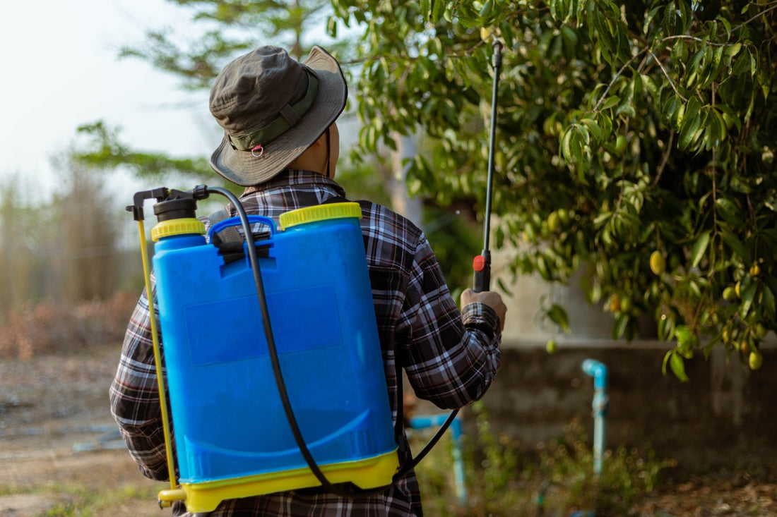 Herbicidas orgánicos contra las malas hierbas: tipos, usos y aplicación segura