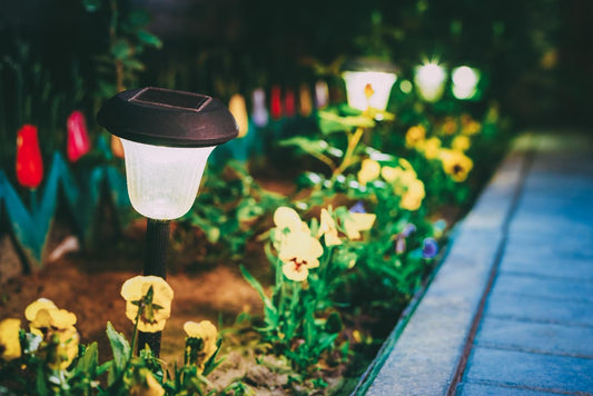 Iluminación para  tu jardín, solar vs 230 V vs 12 V