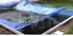 Recupera tu piscina tras el invierno