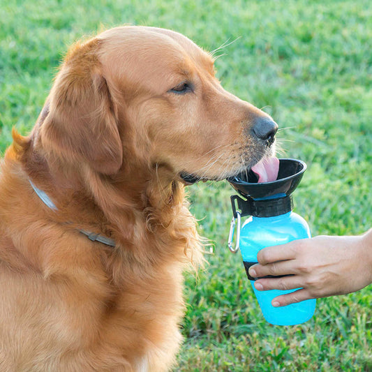 BOTELLA BEBEDERO MASCOTAS INNOVAGOODS