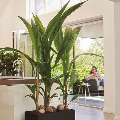 Jardinera decorativa ELHO rectangular 80 × 40 cm