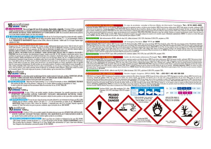 CLORO 10 ACCIONES BICAPA, Tableta 250 G PQS
